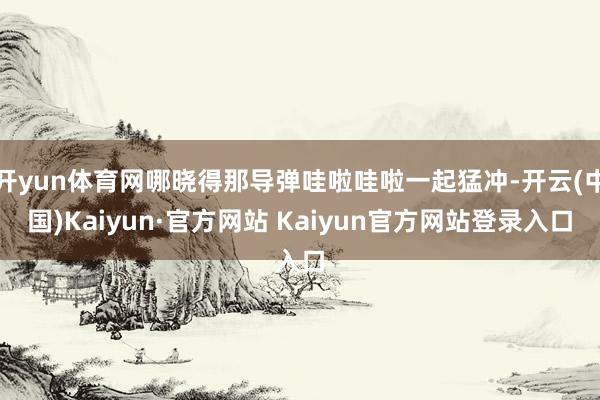 开yun体育网哪晓得那导弹哇啦哇啦一起猛冲-开云(中国)Kaiyun·官方网站 Kaiyun官方网站登录入口