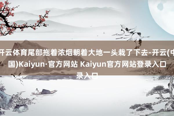 开云体育尾部拖着浓烟朝着大地一头栽了下去-开云(中国)Kaiyun·官方网站 Kaiyun官方网站登录入口